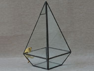 YNGT-11 Geometric Terrariums