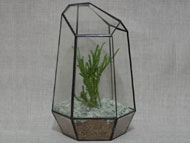 YNGT-03 Geometrisch terrarium (Terrarium voor planten)