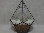 YNGT-04 Terrarium géométrique (Jardinière suspendue en verre)