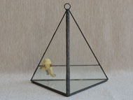 YNGT-41 Geometrisch terrarium (Terrarium voor planten)