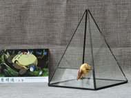 YNGT-05 Terrarium géométrique (Jardinière suspendue en verre)